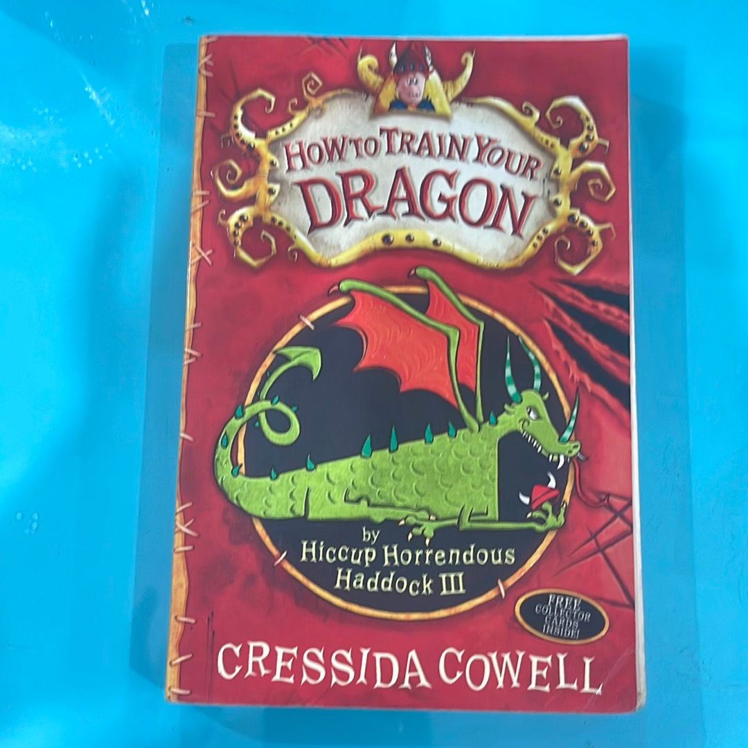 How to train your dragon