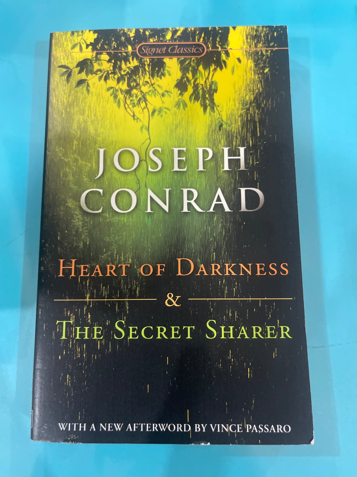 Heart of darkness & the secret sharper -Joseph Conrad