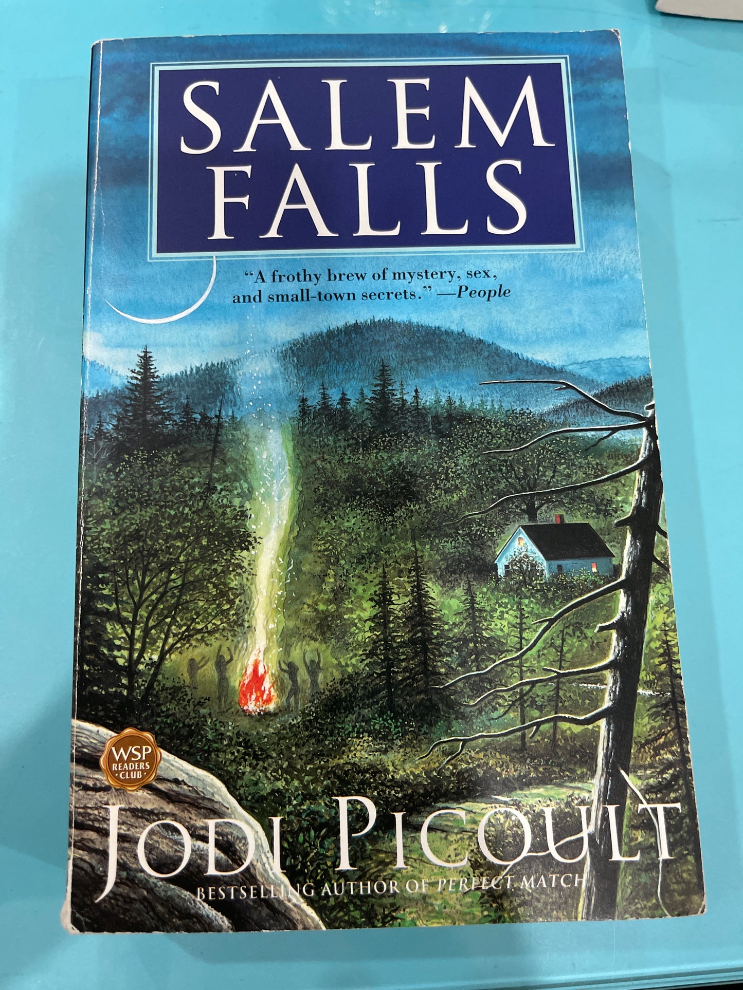 Salem falls- Jodi Picoult