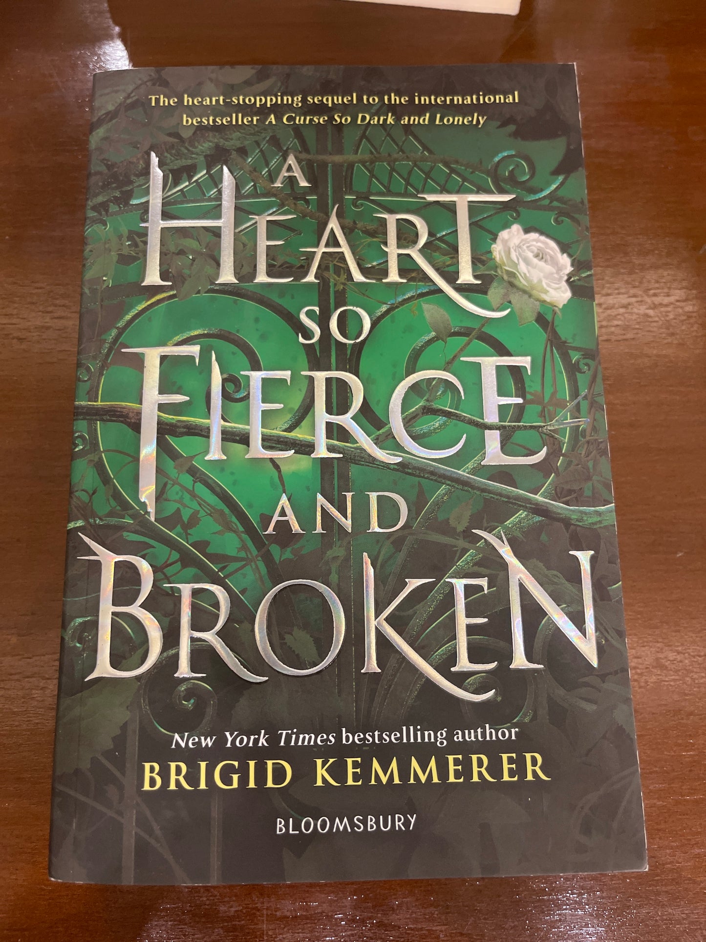 A heart so fierce and broken - Brigid Kemmerer