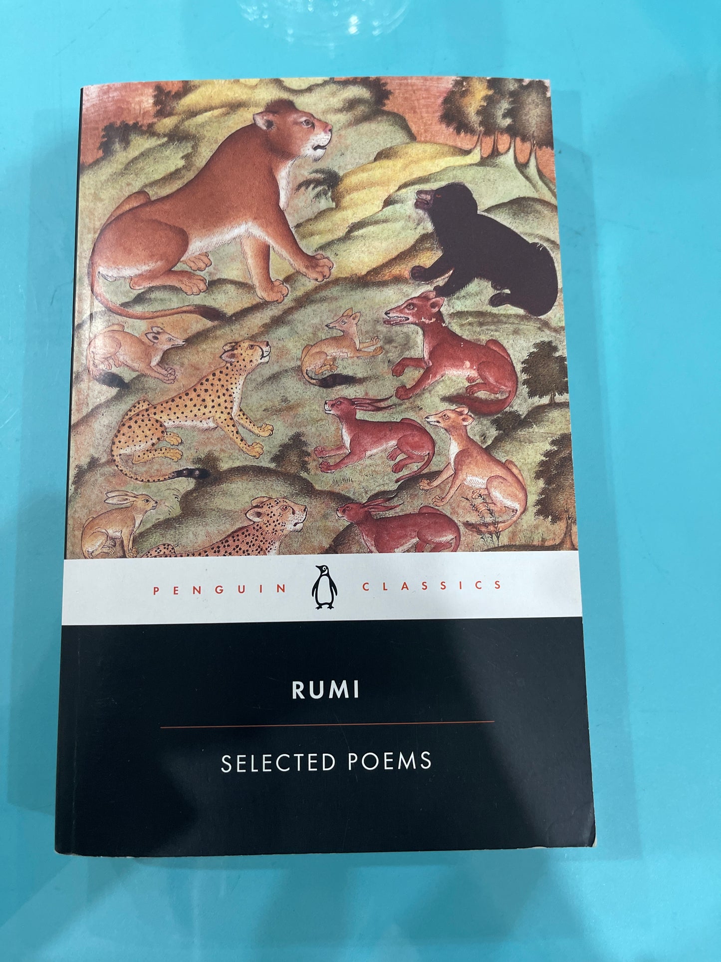 Rumi selected poems