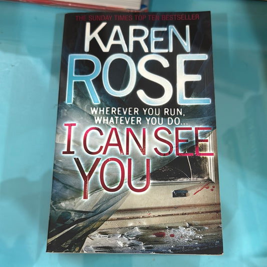 I can see you - Karen rose