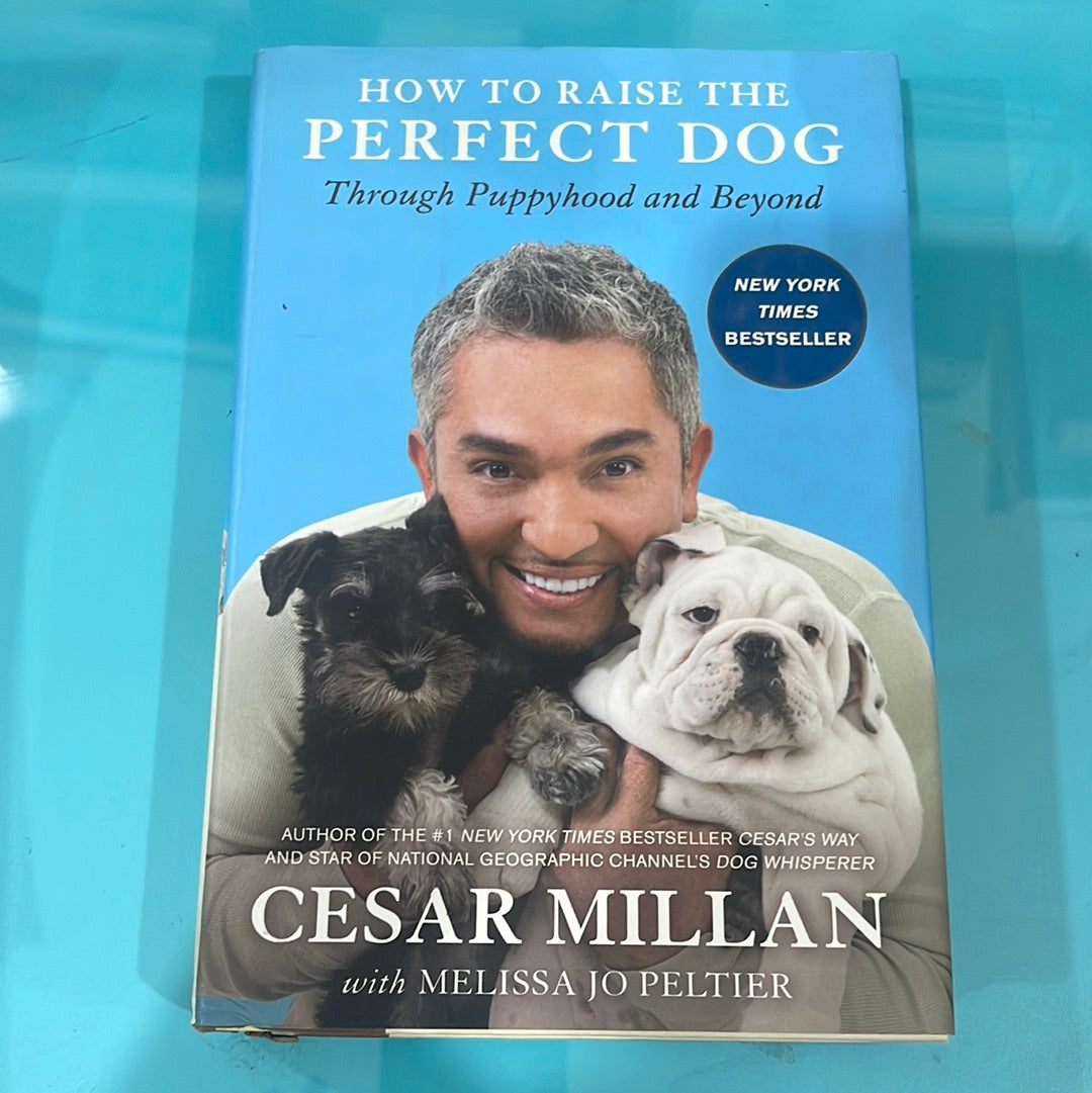 How to raise the perfect dog through puppyhood and beyond- Cesar Millan