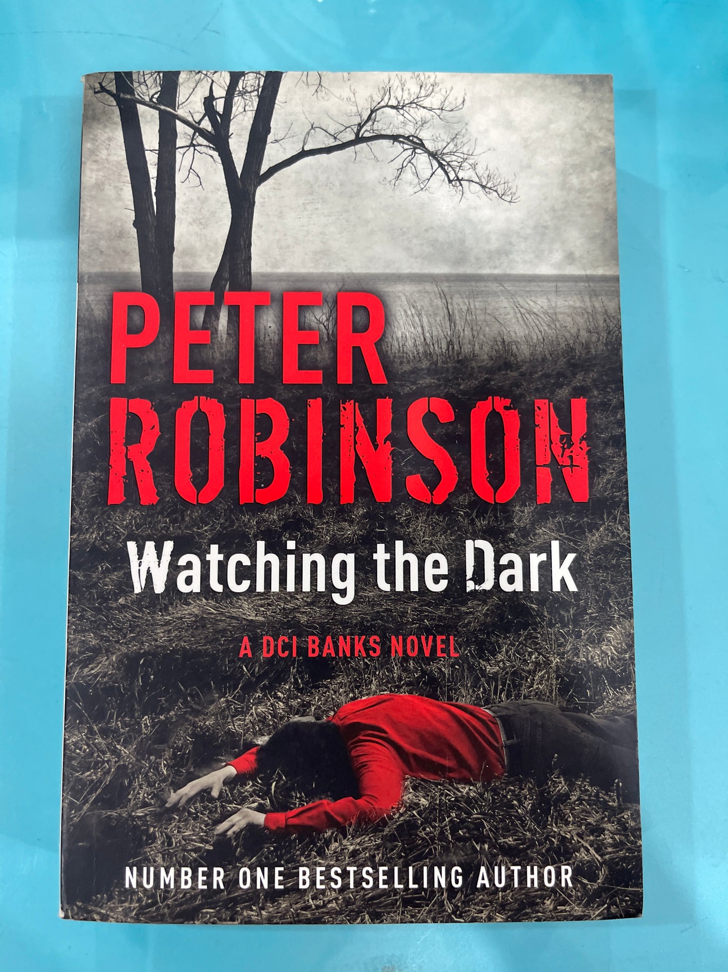 Watching the dark - Peter Robinson