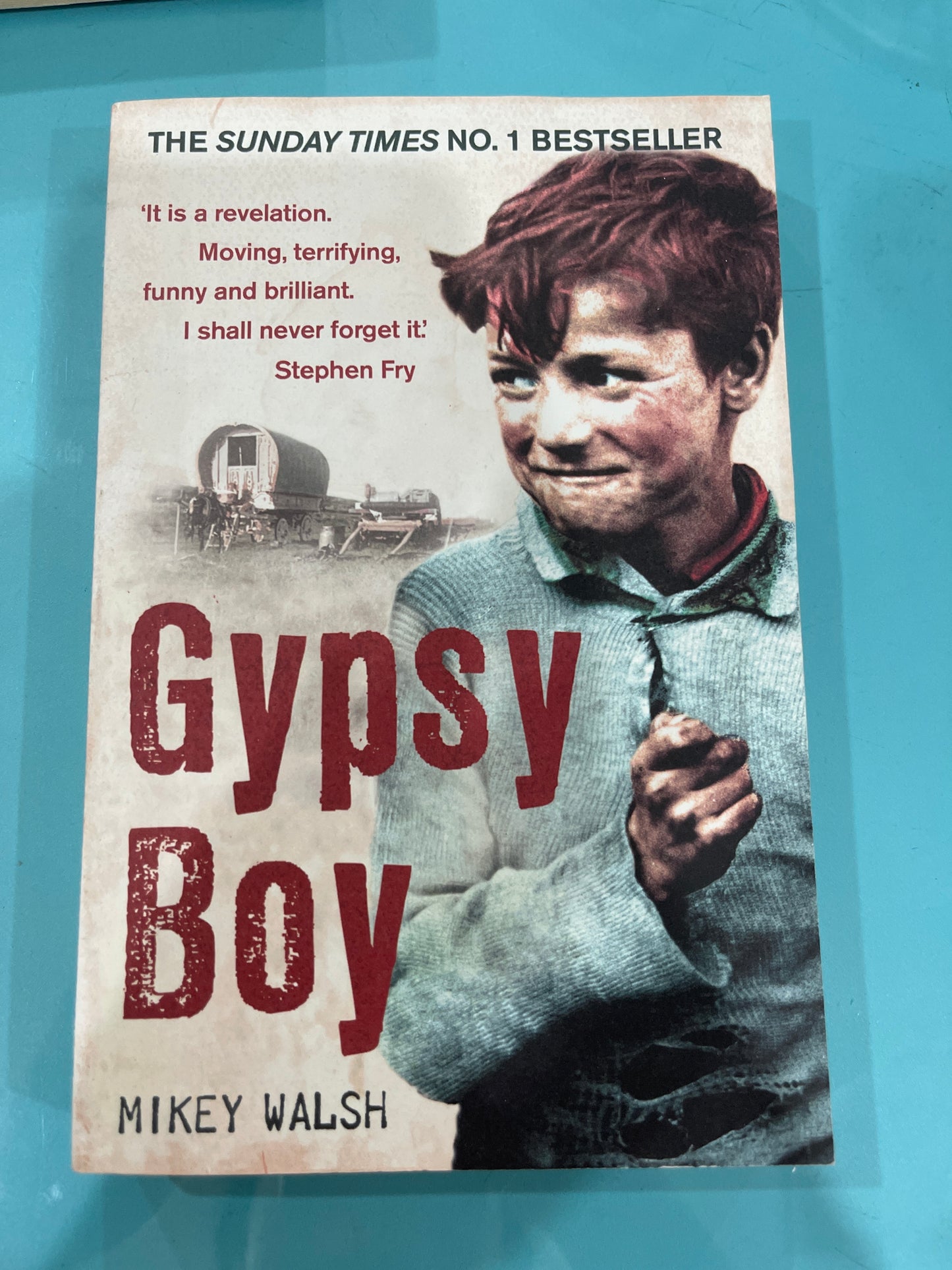 Gypsy boy- Mikey Walsh