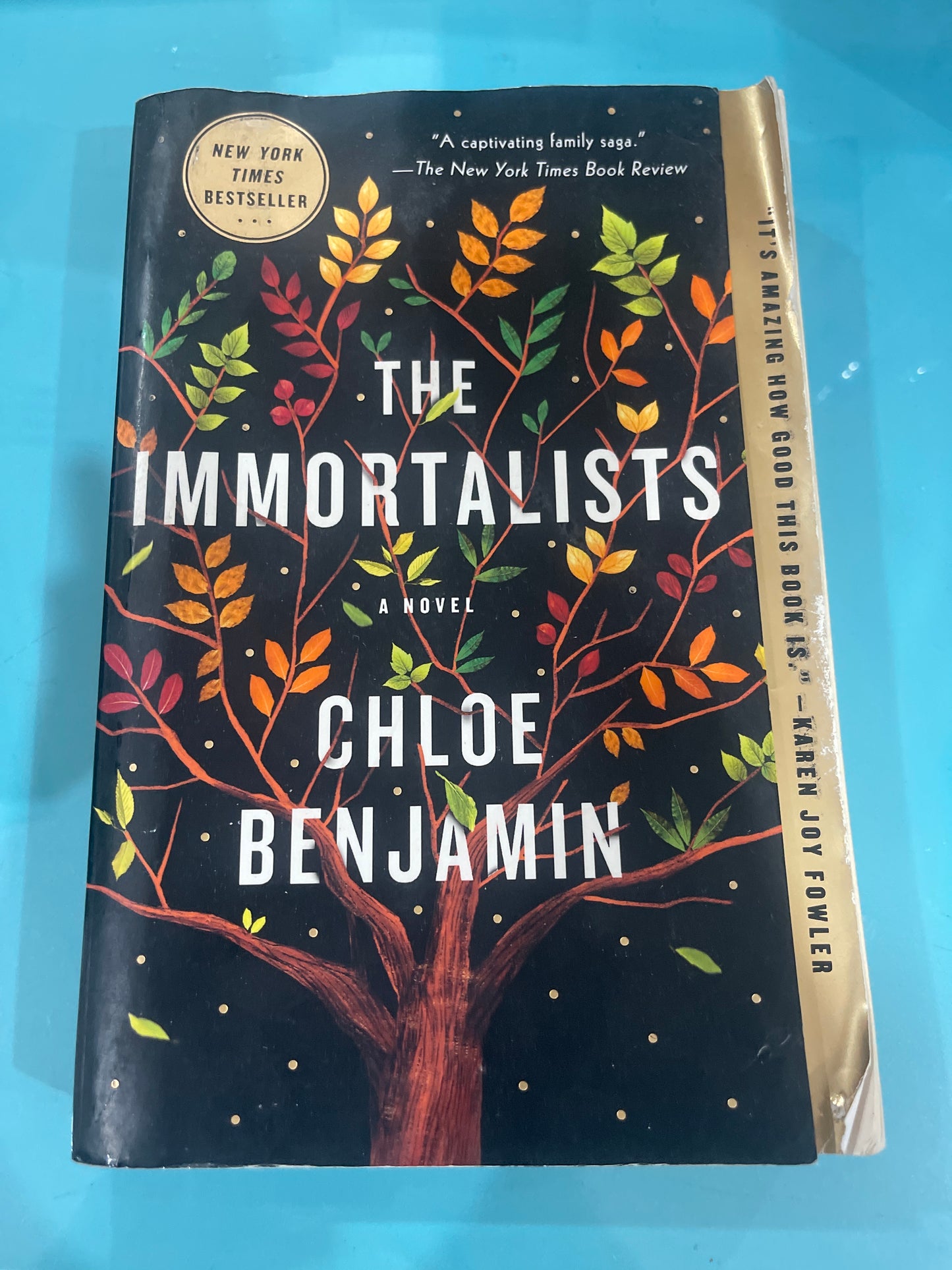 The Immortalists -Chloe Benjamin