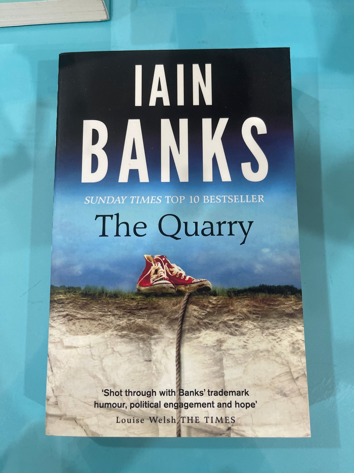 The Quarry - Iain Banks