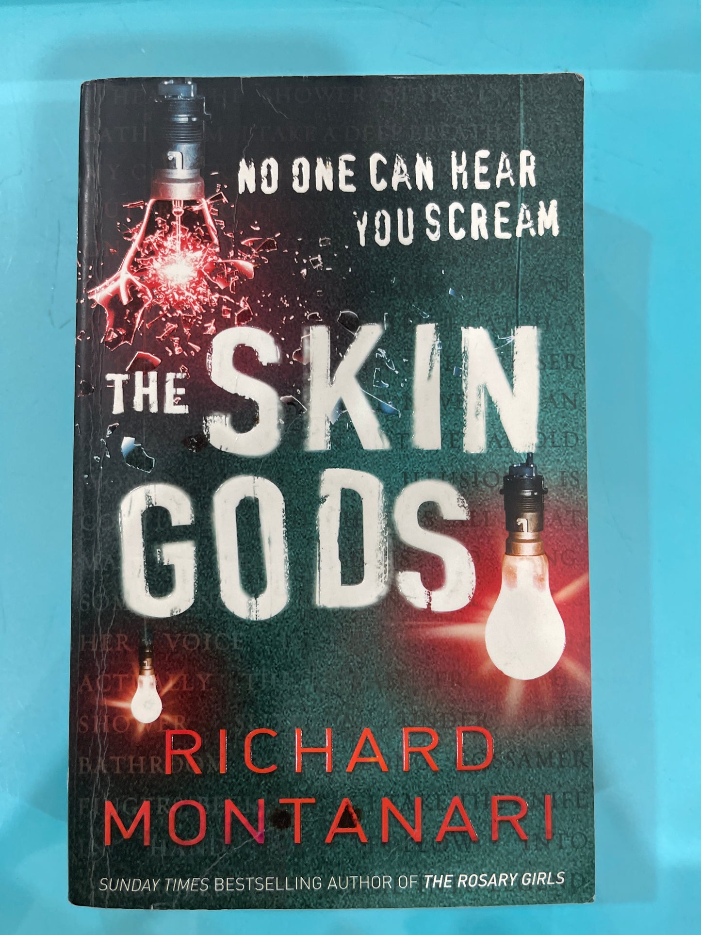 The skin gods - Richard Montanari