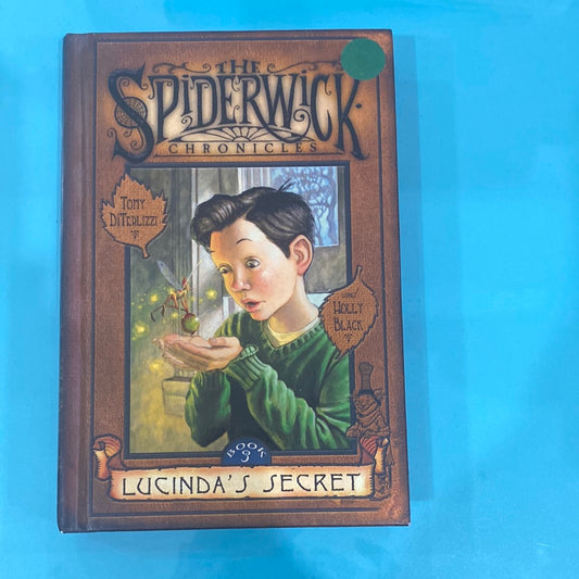 The spiderwick chronicle book 3 Lucinda’s secret